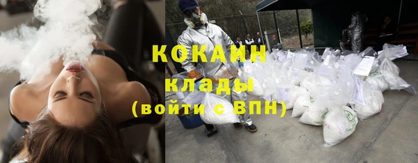 ALPHA PVP Куйбышев