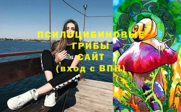 стаф Кукмор