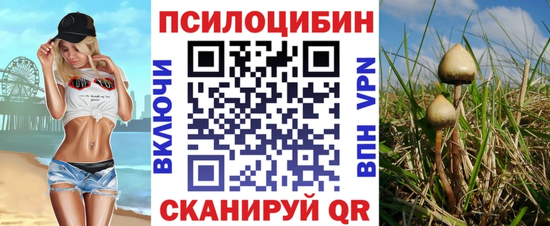 Галлюциногенные грибы ЛСД  Купить где  Котельники 